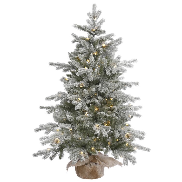 The Holiday Aisle Frosted Sable Pine Artificial Christmas Tabletop